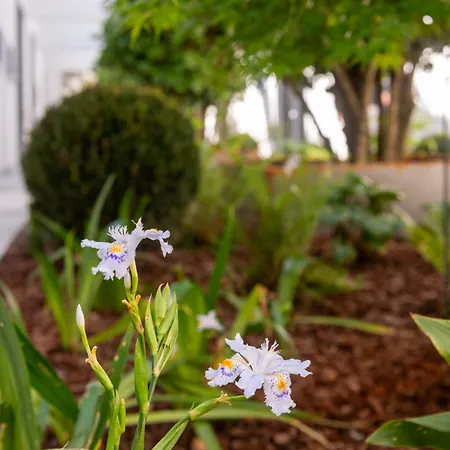 Le Stanze Di Gianmarmo - Galleria 41037