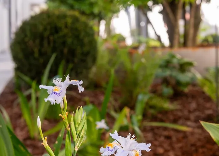 Le Stanze Di Gianmarmo - Galleria 41037